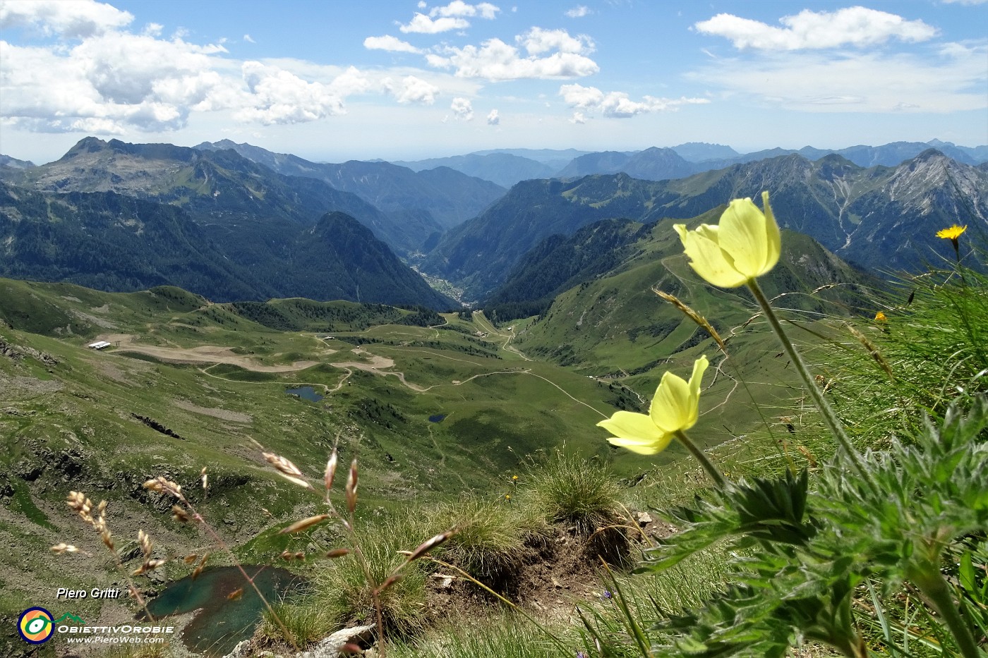 47 Verso sud pulsatilla alpina sulfurea con vista sulla Val Carsole e poi Brembana.JPG